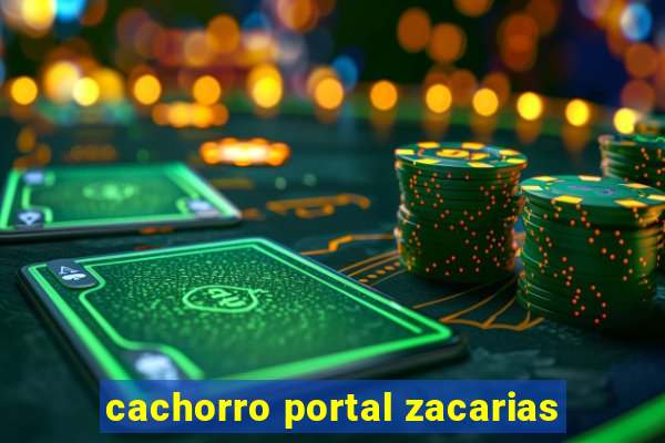 cachorro portal zacarias